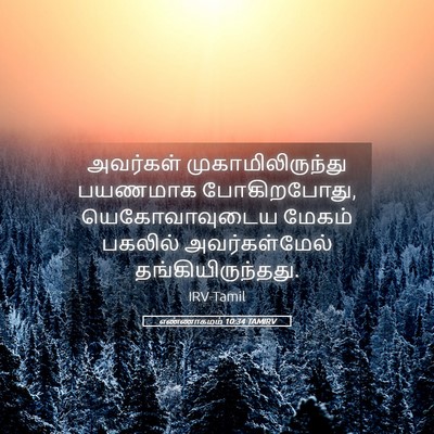 Picture 05 - எண்ணாகமம் 10:34 TAMIRV - அவர்கள் - Bible Verse Picture
