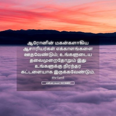 Picture 05 - எண்ணாகமம் 10:8 TAMIRV - ஆரோனின் - Bible Verse Picture