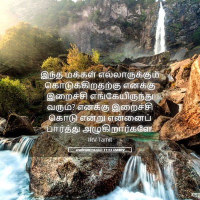 Picture 05 - எண்ணாகமம் 11:13 TAMIRV - இந்த மக்கள் - Bible Verse Picture