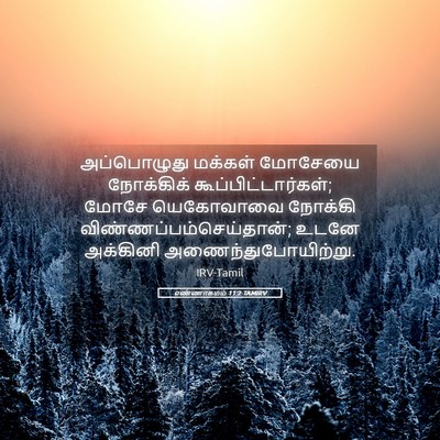 Picture 05 - எண்ணாகமம் 11:2 TAMIRV - அப்பொழுது மக்கள் - Bible Verse Picture