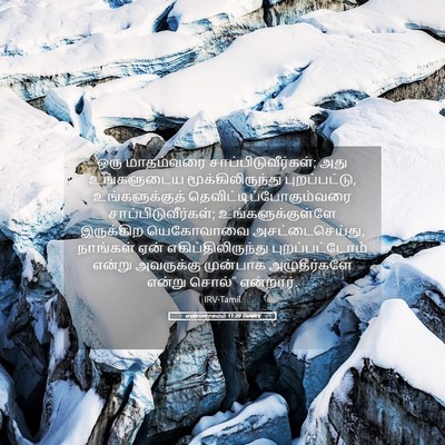 Picture 05 - எண்ணாகமம் 11:20 TAMIRV - ஒரு மாதம்வரை - Bible Verse Picture