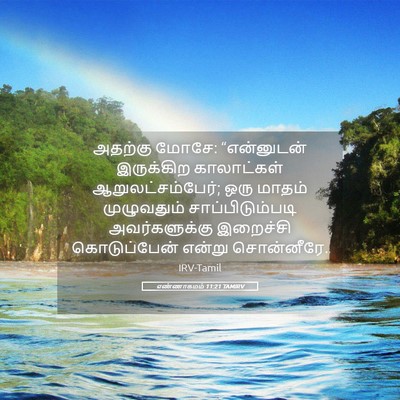 Picture 05 - எண்ணாகமம் 11:21 TAMIRV - அதற்கு மோசே: - Bible Verse Picture