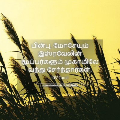 Picture 05 - எண்ணாகமம் 11:30 TAMIRV - பின்பு, மோசேயும் - Bible Verse Picture