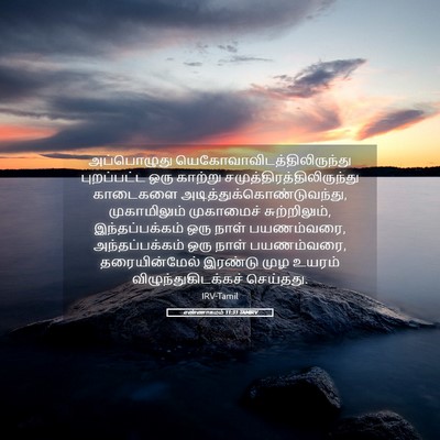Picture 05 - எண்ணாகமம் 11:31 TAMIRV - அப்பொழுது - Bible Verse Picture