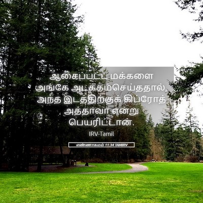 Picture 05 - எண்ணாகமம் 11:34 TAMIRV - ஆசைப்பட்ட மக்களை - Bible Verse Picture