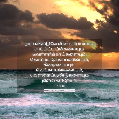 Picture 05 - எண்ணாகமம் 11:5 TAMIRV - நாம் எகிப்திலே - Bible Verse Picture