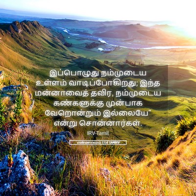 Picture 05 - எண்ணாகமம் 11:6 TAMIRV - இப்பொழுது - Bible Verse Picture