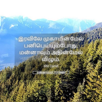 Picture 05 - எண்ணாகமம் 11:9 TAMIRV - இரவிலே - Bible Verse Picture