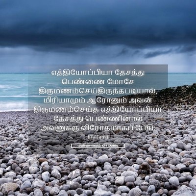 Picture 05 - எண்ணாகமம் 12:1 TAMIRV - எத்தியோப்பியா - Bible Verse Picture