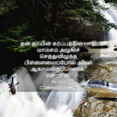 Picture 05 - எண்ணாகமம் 12:12 TAMIRV - தன் தாயின் - Bible Verse Picture