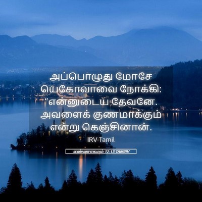Picture 05 - எண்ணாகமம் 12:13 TAMIRV - அப்பொழுது மோசே - Bible Verse Picture
