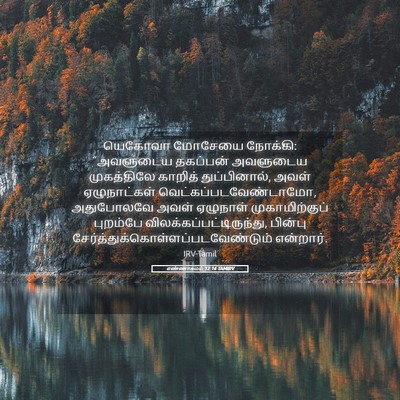 Picture 05 - எண்ணாகமம் 12:14 TAMIRV - யெகோவா மோசேயை - Bible Verse Picture