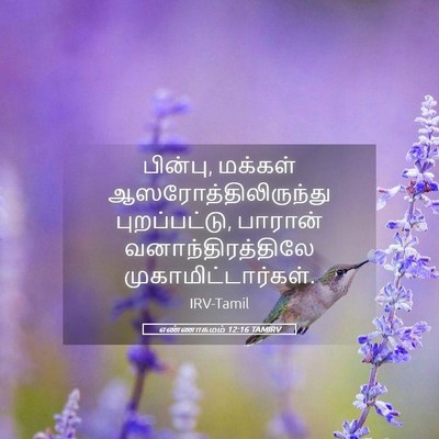 Picture 05 - எண்ணாகமம் 12:16 TAMIRV - பின்பு, மக்கள் - Bible Verse Picture