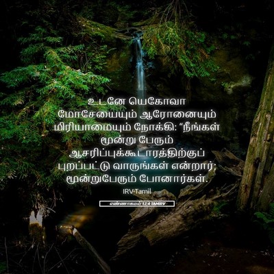 Picture 05 - எண்ணாகமம் 12:4 TAMIRV - உடனே யெகோவா - Bible Verse Picture