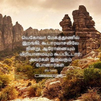 Picture 05 - எண்ணாகமம் 12:5 TAMIRV - யெகோவா - Bible Verse Picture