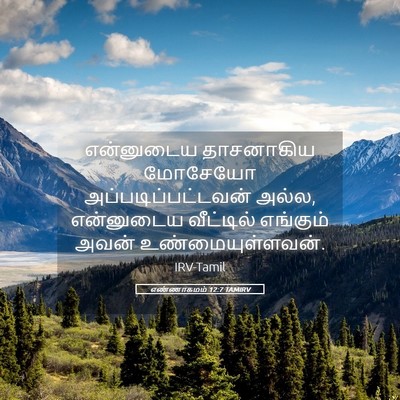 Picture 05 - எண்ணாகமம் 12:7 TAMIRV - என்னுடைய தாசனாகிய - Bible Verse Picture