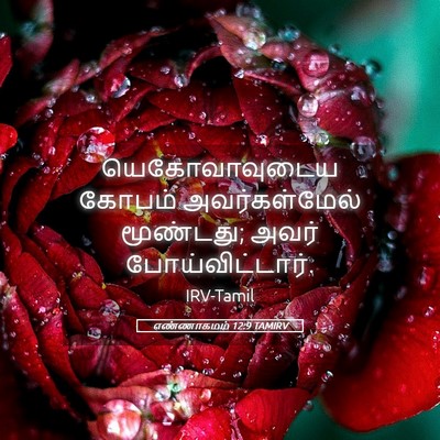 Picture 05 - எண்ணாகமம் 12:9 TAMIRV - யெகோவாவுடைய கோபம் - Bible Verse Picture