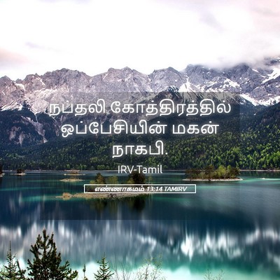 Picture 05 - எண்ணாகமம் 13:14 TAMIRV - நப்தலி - Bible Verse Picture