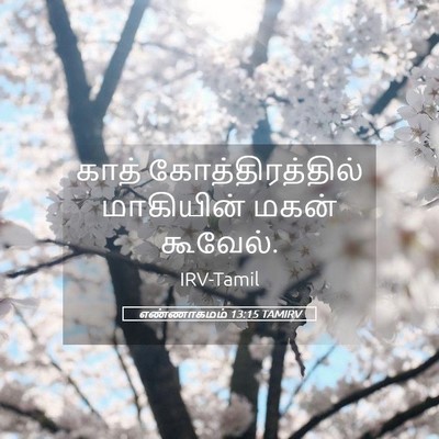 Picture 05 - எண்ணாகமம் 13:15 TAMIRV - காத் - Bible Verse Picture