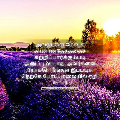 Picture 05 - எண்ணாகமம் 13:17 TAMIRV - அவர்களை மோசே - Bible Verse Picture