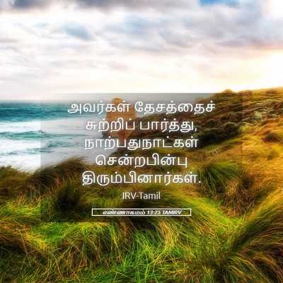Picture 05 - எண்ணாகமம் 13:25 TAMIRV - அவர்கள் தேசத்தைச் - Bible Verse Picture