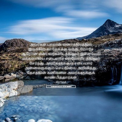 Picture 05 - எண்ணாகமம் 13:26 TAMIRV - அவர்கள் பாரான் - Bible Verse Picture