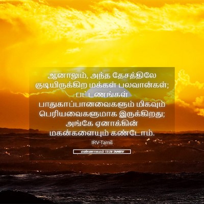 Picture 05 - எண்ணாகமம் 13:28 TAMIRV - ஆனாலும், அந்த - Bible Verse Picture