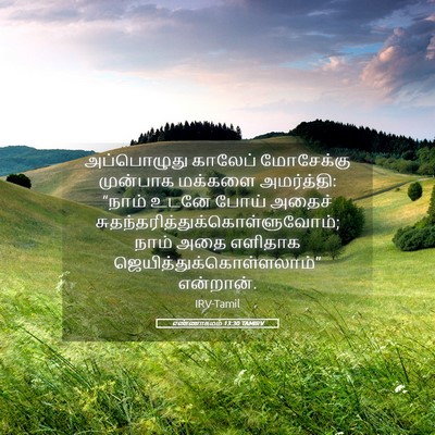 Picture 05 - எண்ணாகமம் 13:30 TAMIRV - அப்பொழுது காலேப் - Bible Verse Picture