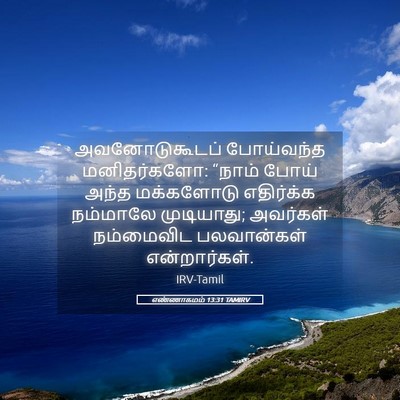 Picture 05 - எண்ணாகமம் 13:31 TAMIRV - அவனோடுகூடப் - Bible Verse Picture