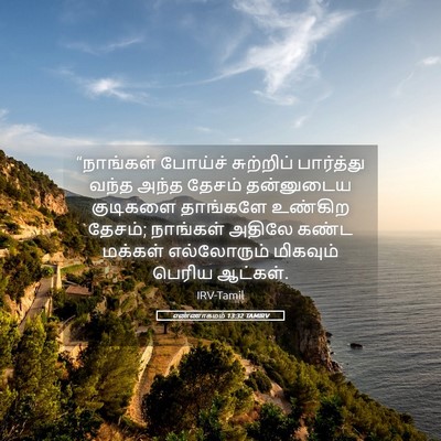 Picture 05 - எண்ணாகமம் 13:32 TAMIRV - “நாங்கள் போய்ச் - Bible Verse Picture