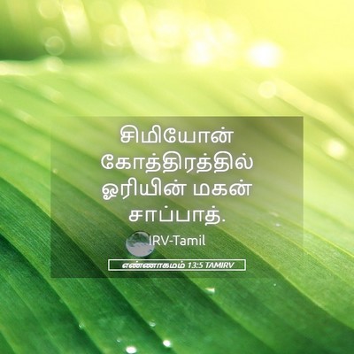 Picture 05 - எண்ணாகமம் 13:5 TAMIRV - சிமியோன் - Bible Verse Picture