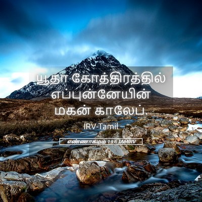Picture 05 - எண்ணாகமம் 13:6 TAMIRV - யூதா - Bible Verse Picture