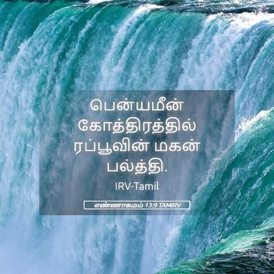 Picture 05 - எண்ணாகமம் 13:9 TAMIRV - பென்யமீன் - Bible Verse Picture
