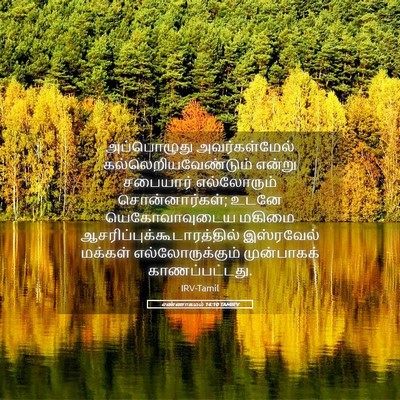 Picture 05 - எண்ணாகமம் 14:10 TAMIRV - அப்பொழுது - Bible Verse Picture