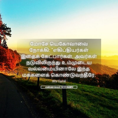 Picture 05 - எண்ணாகமம் 14:13 TAMIRV - மோசே யெகோவாவை - Bible Verse Picture