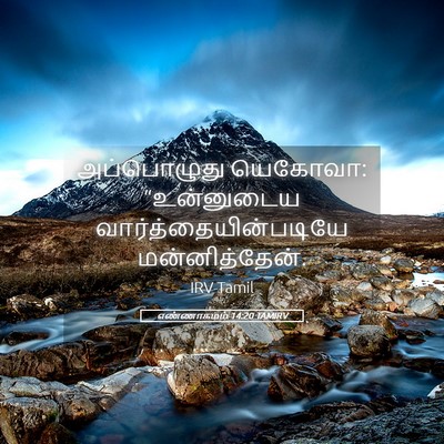 Picture 05 - எண்ணாகமம் 14:20 TAMIRV - அப்பொழுது யெகோவா: - Bible Verse Picture