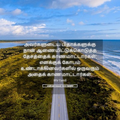 Picture 05 - எண்ணாகமம் 14:23 TAMIRV - அவர்களுடைய - Bible Verse Picture