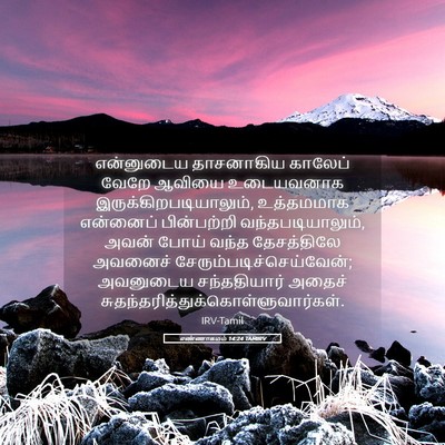 Picture 05 - எண்ணாகமம் 14:24 TAMIRV - என்னுடைய தாசனாகிய - Bible Verse Picture