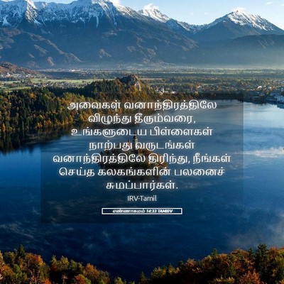 Picture 05 - எண்ணாகமம் 14:33 TAMIRV - அவைகள் - Bible Verse Picture
