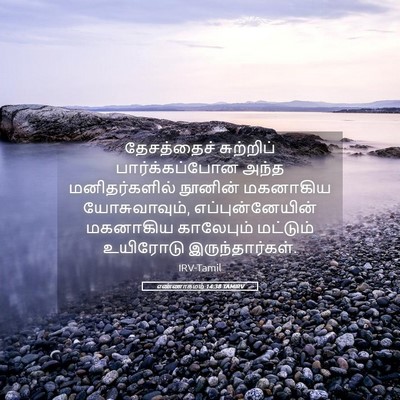 Picture 05 - எண்ணாகமம் 14:38 TAMIRV - தேசத்தைச் - Bible Verse Picture