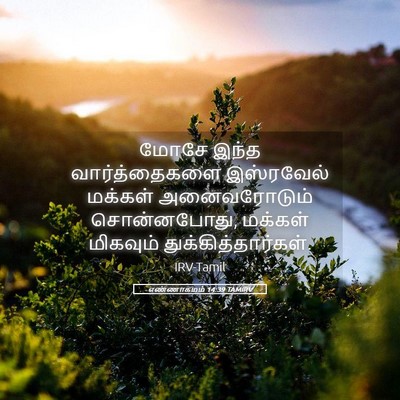 Picture 05 - எண்ணாகமம் 14:39 TAMIRV - மோசே இந்த - Bible Verse Picture