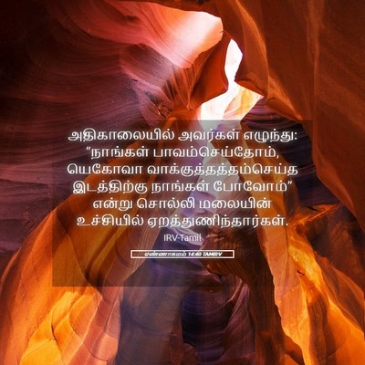 Picture 05 - எண்ணாகமம் 14:40 TAMIRV - அதிகாலையில் - Bible Verse Picture
