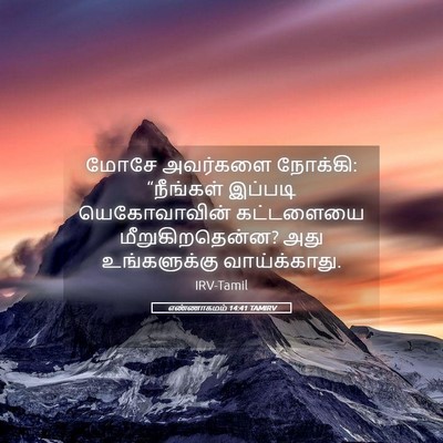 Picture 05 - எண்ணாகமம் 14:41 TAMIRV - மோசே அவர்களை - Bible Verse Picture