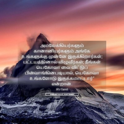 Picture 05 - எண்ணாகமம் 14:43 TAMIRV - அமலேக்கியர்களும் - Bible Verse Picture