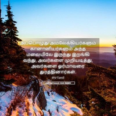Picture 05 - எண்ணாகமம் 14:45 TAMIRV - அப்பொழுது - Bible Verse Picture