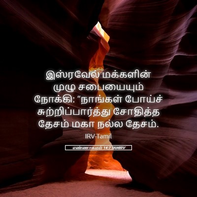 Picture 05 - எண்ணாகமம் 14:7 TAMIRV - இஸ்ரவேல் மக்களின் - Bible Verse Picture