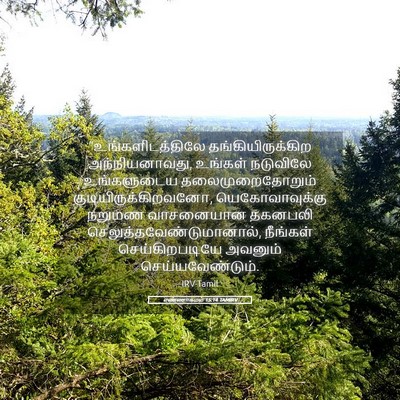 Picture 05 - எண்ணாகமம் 15:14 TAMIRV - “உங்களிடத்திலே - Bible Verse Picture