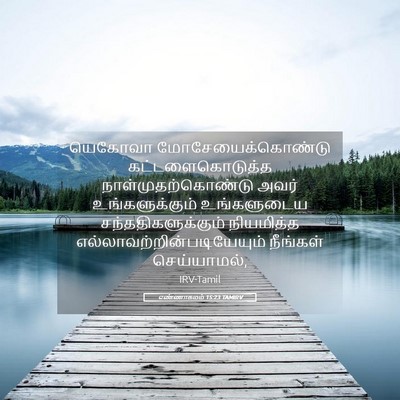 Picture 05 - எண்ணாகமம் 15:23 TAMIRV - யெகோவா - Bible Verse Picture
