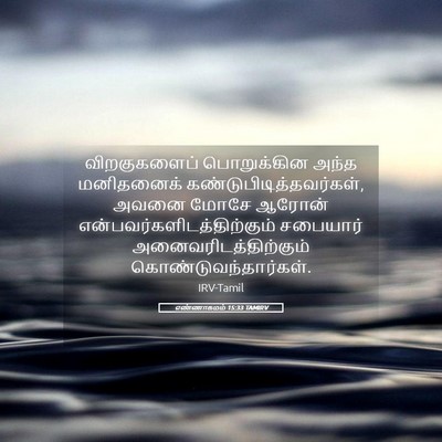Picture 05 - எண்ணாகமம் 15:33 TAMIRV - விறகுகளைப் - Bible Verse Picture