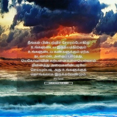 Picture 05 - எண்ணாகமம் 15:39 TAMIRV - நீங்கள் - Bible Verse Picture